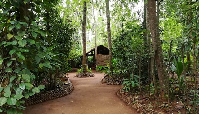 Kandy City Tour from Dambulla with Matale Spice Garden & Kandy Drop off 4
