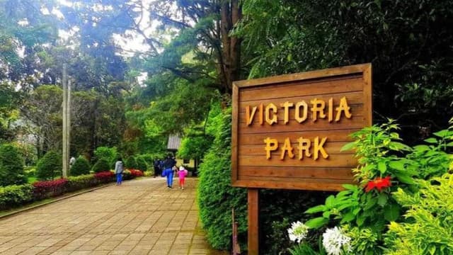 Nuwara Eliya City Tour with Hotel Pickup from Nuwara Eliya & Drop-off in Ella 5