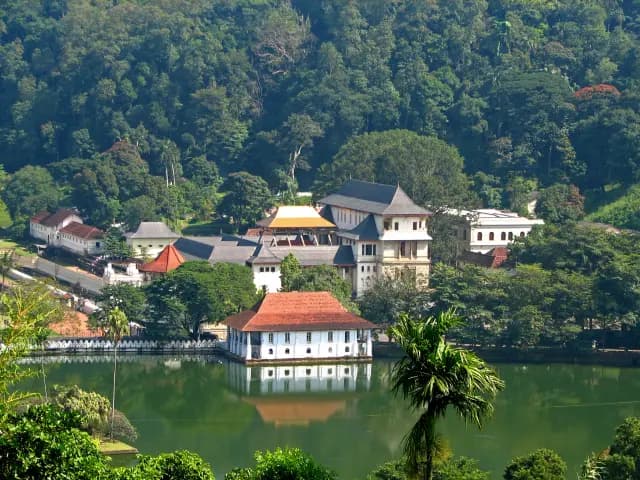 Udawatta Kele Sanctuary – Kandy’s Hidden Forest Reserve - Photo 6