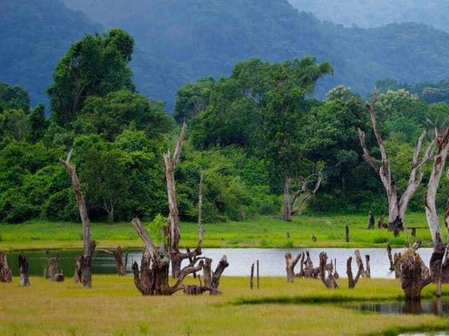 Gal Oya Lake Safari -Swim with Giants - Photo 5