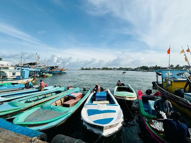 Muthurajawela Bird Watching Tour & Negombo City Tour Experience 7