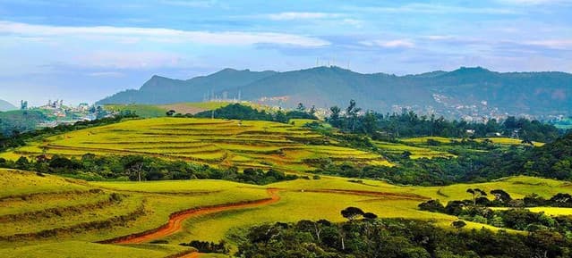 Nuwara Eliya Full-Day City Tour from Kandy 7