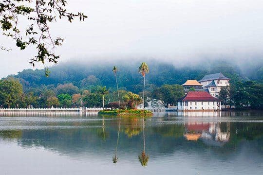 Kandy City Tour from Dambulla with Matale Spice Garden & Kandy Drop off 8