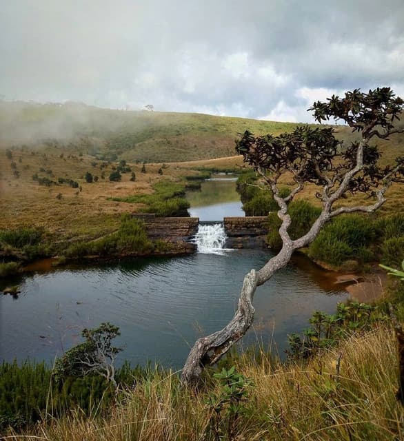 Horton Plains Trek– World’s End Hike 2