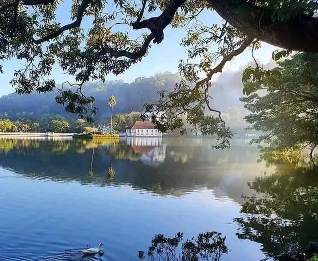 Kandy City Tour from Dambulla with Matale Spice Garden & Kandy Drop off 2