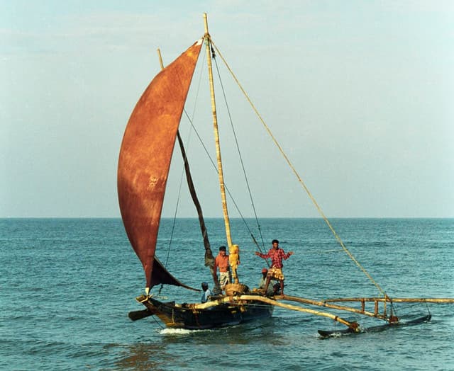 Muthurajawela Bird Watching Tour & Negombo City Tour Experience 8