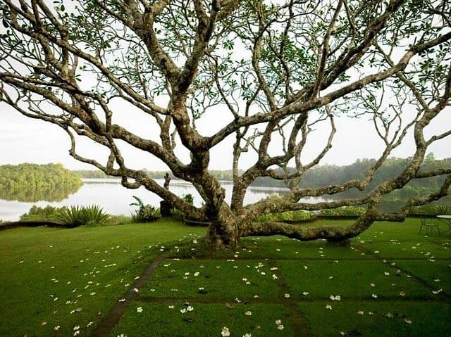 Lunuganga Bawa Garden: Bentota’s Must Visit Attraction in Sri Lanka - Photo 3