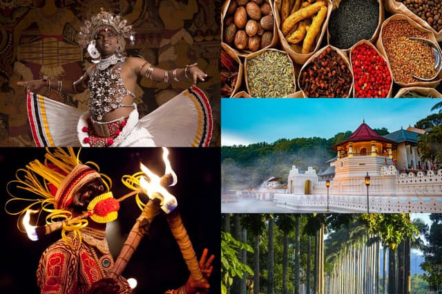 Kandy City Tour from Dambulla with Matale Spice Garden & Kandy Drop off