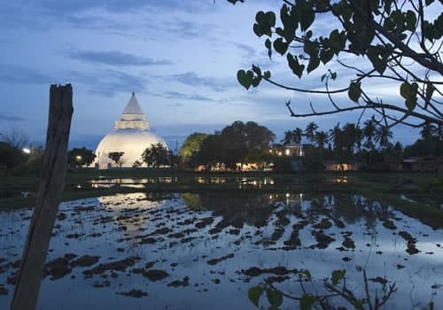 Experience Authentic Sri Lankan Village Life in Tissamaharama - Photo 6