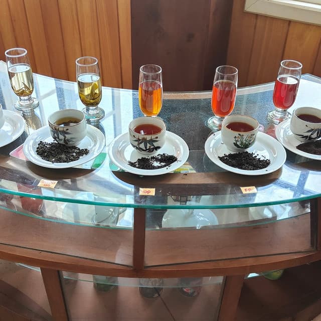 Giragama Tea Plantation - Authentic Sri Lanka Hill Country Tea Experience - Photo 5