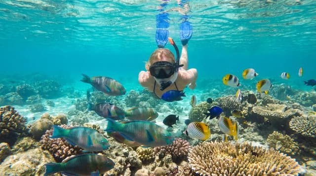 Sri Lanka Snorkeling Guide: Locations & Best Time to Visit - Photo 2