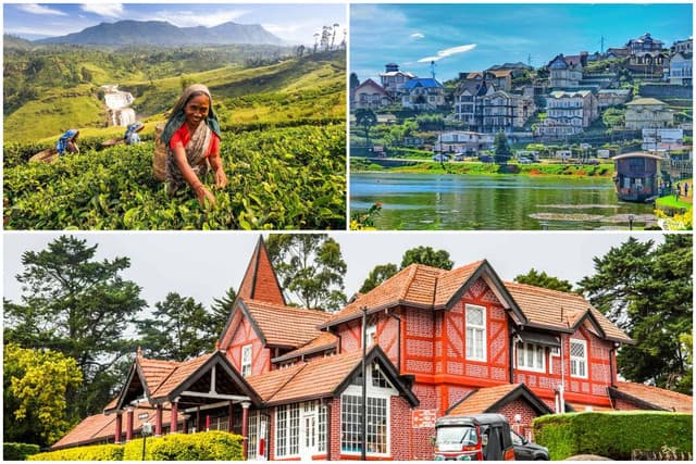 Nuwara Eliya Full-Day City Tour from Kandy