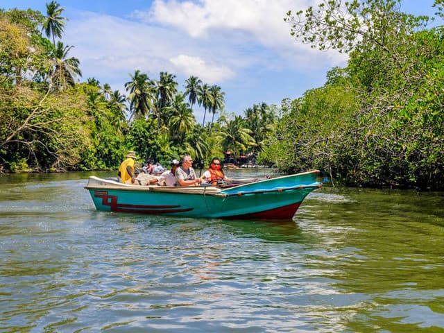 Kosgoda Turtle Hatchery & Madu river Boat Ride Day Tour