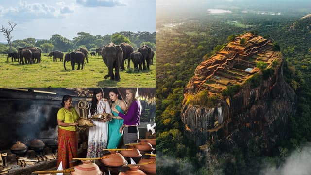All Inclusive: Sigiriya Rock Fortress, Village Experience & Minneriya Safari Adventure