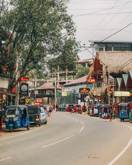 Ella City Tour with Scenic Sightseeing & Drop-Off to Yala 5