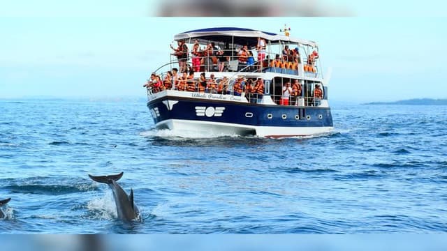 Whale Watching in Mirissa – A Must-Do Marine Adventure in Sri Lanka - Photo 2