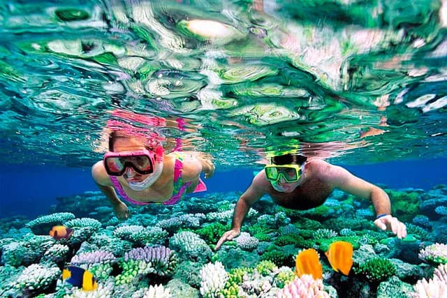 Sri Lanka Snorkeling Guide: Locations & Best Time to Visit - Photo 5