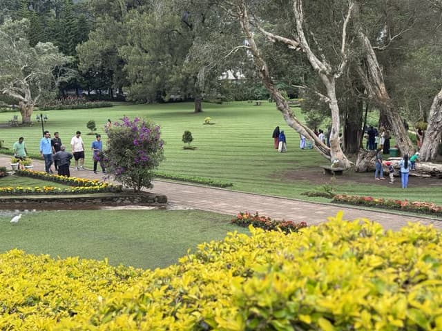 Nuwara Eliya Full-Day City Tour from Kandy 4