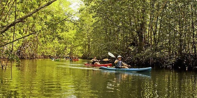 Bentota Water Sports Tour Highlights