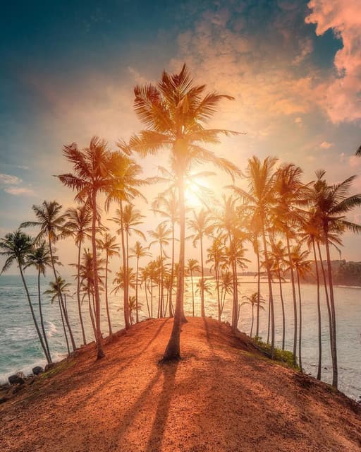 Coconut Tree Hill Mirissa – A Scenic Tropical Icon in Sri Lanka - Photo 2