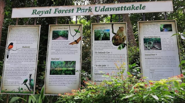 Udawatta Kele Sanctuary – Kandy’s Hidden Forest Reserve - Photo 4