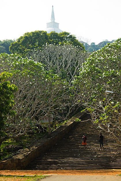 Mihintale – The Birthplace of Buddhism in Sri Lanka - Photo 3