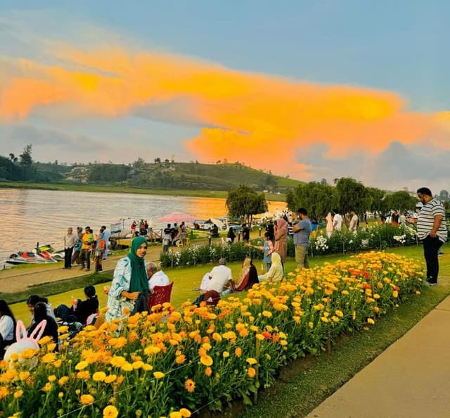 Nuwara Eliya Full-Day City Tour from Kandy 5