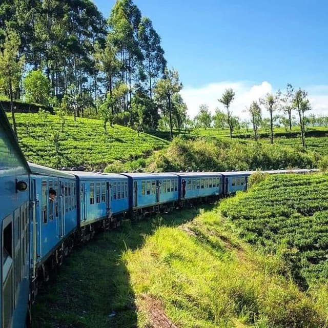 From Tea Country to Mountain Views: The Magic of the Nanu Oya–Ella Railway - Photo 1