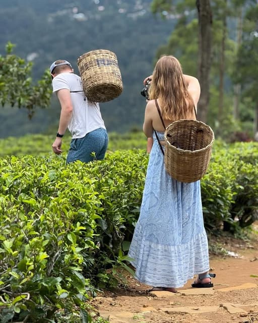 Nuwara Eliya Tea Plantation Tours: Discover Sri Lanka’s Highland Heritage - Photo 3