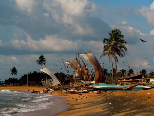 Negombo Treasures: From Beach Bliss to Colonial Echoes - Photo 1