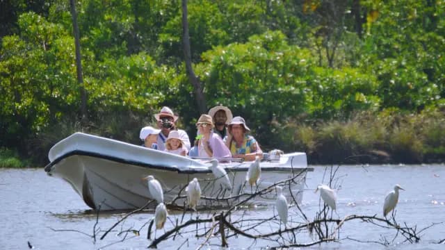 Muthurajawela Boat Safari in Sri Lanka – A Hidden Wetland Paradise Near Colombo - Photo 6
