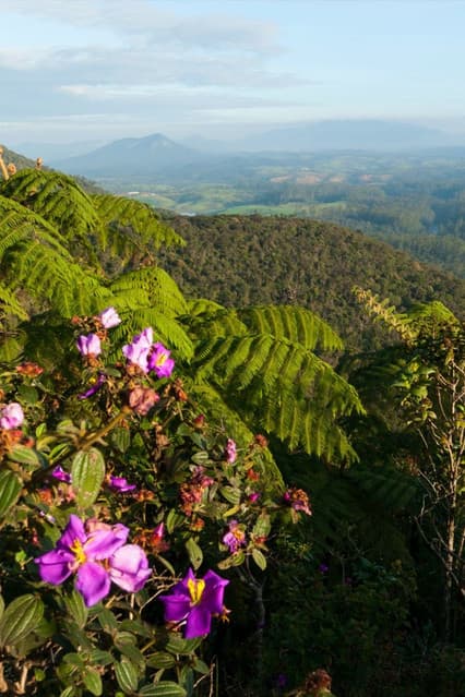 Horton Plains National Park – Sri Lanka’s Misty Highland Adventure - Photo 6
