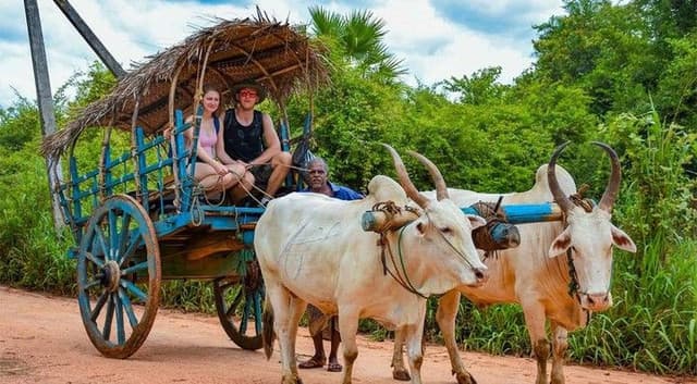 All Inclusive: Sigiriya Rock Fortress, Village Experience & Minneriya Safari Adventure 7