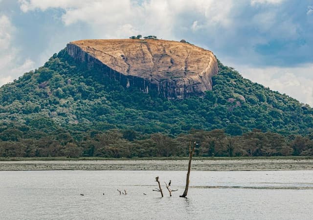 Pidurangala Rock Hike – Where Adventure Meets the Golden Hour 3