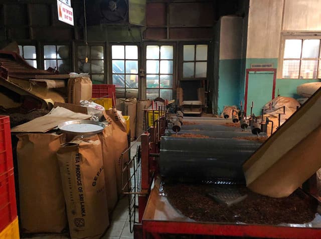 Giragama Tea Plantation - Authentic Sri Lanka Hill Country Tea Experience - Photo 6