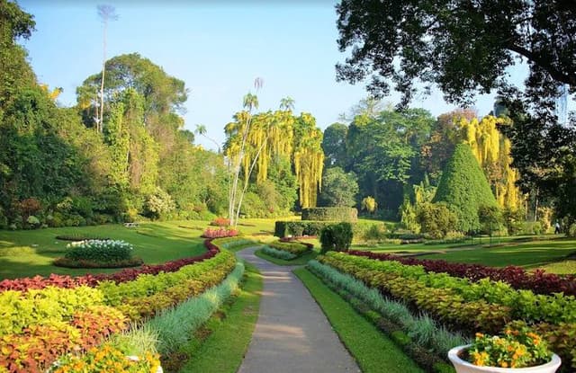 Peradeniya Botanical Garden: Sri Lanka’s Royal Green Sanctuary - Photo 4