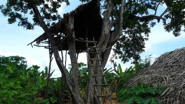 Experience Authentic Sri Lankan Village Life in Tissamaharama - Photo 4