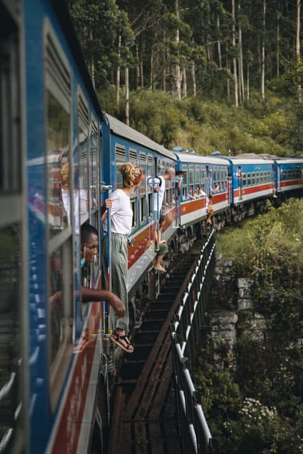 From Tea Country to Mountain Views: The Magic of the Nanu Oya–Ella Railway - Photo 6