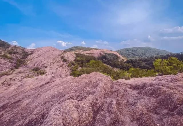Namal Uyana Nature Trail –  Explore Sri Lanka’s Ironwood Forest and Quartz Mountain - Photo 3