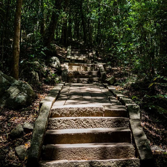 Ritigala Buddhist Monastery Sri Lanka - Ancient Ruins & Sacred Forest