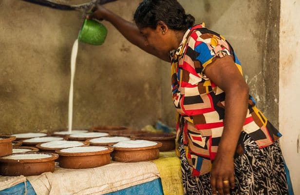 Experience Authentic Sri Lankan Village Life in Tissamaharama - Photo 3