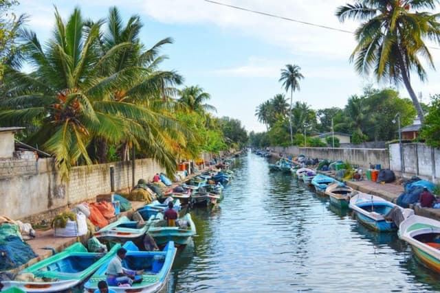 Sailing Through Time: The Dutch Canal of Negombo - Photo 5