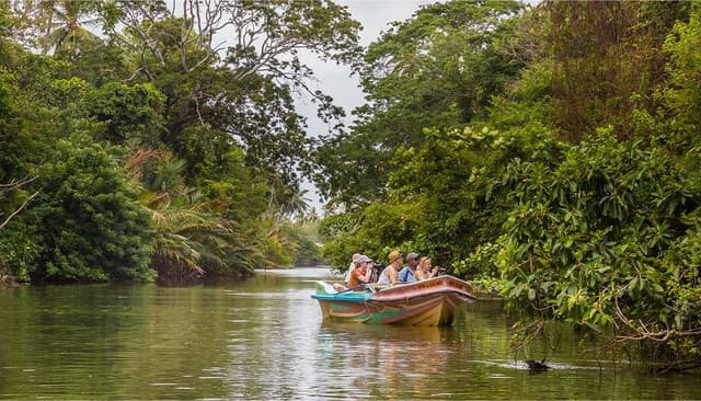Muthurajawela Bird Watching Tour & Negombo City Tour Experience