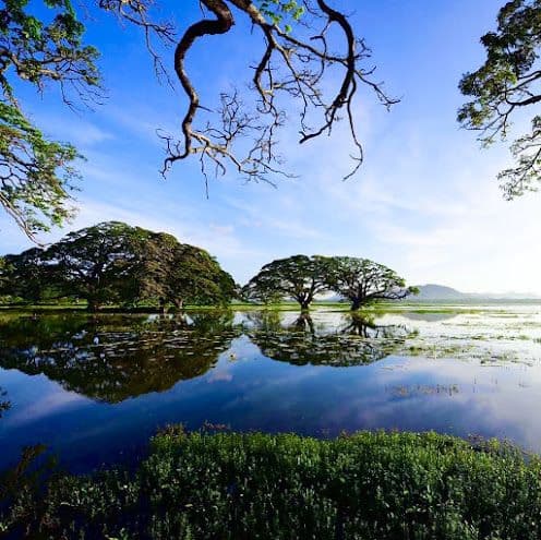 Experience Authentic Sri Lankan Village Life in Tissamaharama