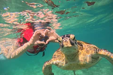 Sri Lanka Snorkeling Guide: Locations & Best Time to Visit - Photo 4