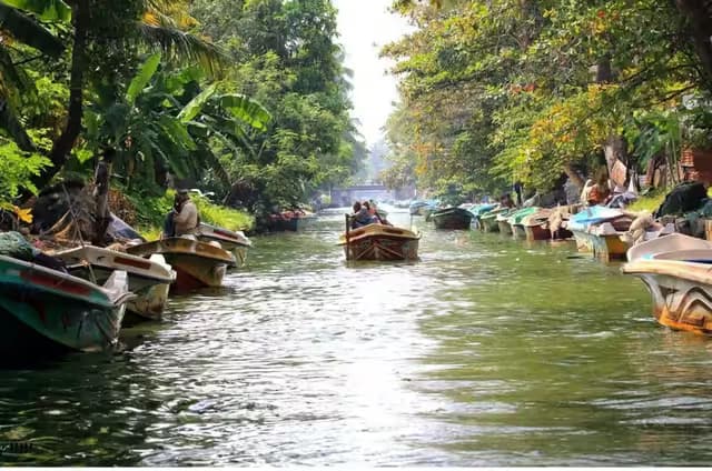 Muthurajawela Boat Safari in Sri Lanka – A Hidden Wetland Paradise Near Colombo - Photo 7