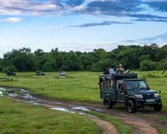 Kaudulla National Park: Witness Asia’s Largest Wild Elephant Gathering - Photo 1