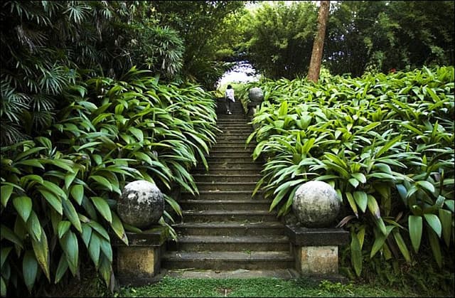 Lunuganga Bawa Garden: Bentota’s Must Visit Attraction in Sri Lanka