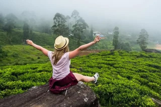 Nuwara Eliya City Tour with Hotel Pickup from Nuwara Eliya & Drop-off in Ella 3