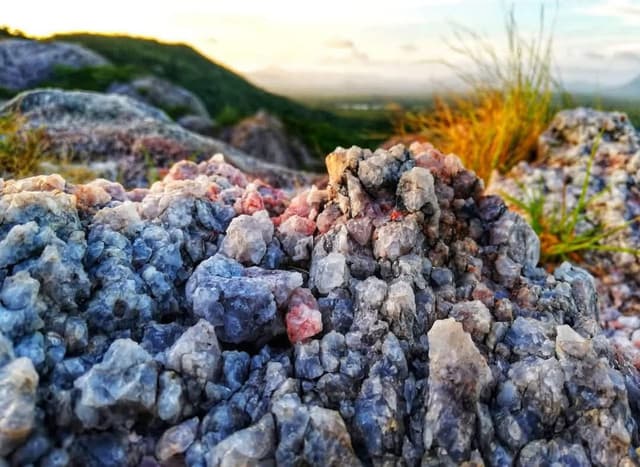 Namal Uyana Nature Trail –  Explore Sri Lanka’s Ironwood Forest and Quartz Mountain - Photo 4